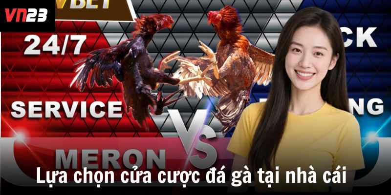 Lựa chọn cửa cược đá gà tại nhà cái 